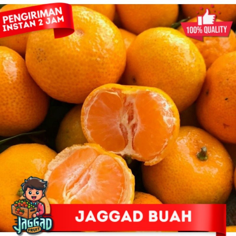 

JERUK SHANTANG DAUN JAGGAD FRUIT