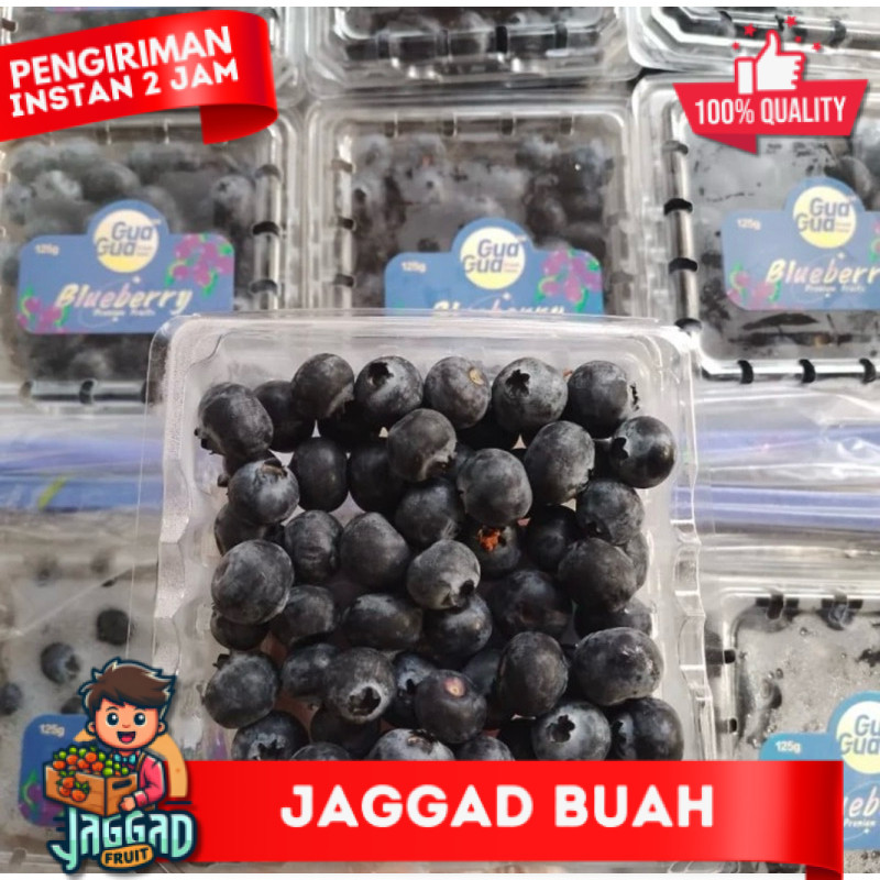 

Blueberry Fresh -+ @125 Gram (Ukuran Blueberry Lebih Besar) JAGGAD FRUIT