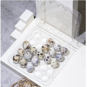 MF✨Mika Telur Puyuh Isi 25 Butir Sudah ada Pengunci / Kancing ( HARGA 25 PCS )