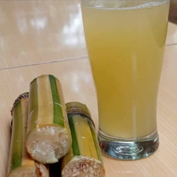 

tebu kuning 1 kg