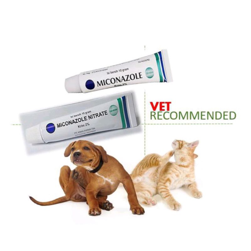 miconazole salep jamur anjing kucing