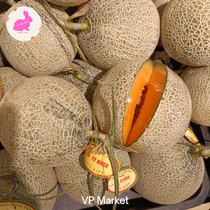 

Buah Melon Cantaloupe Jepang | Melon Manis Garing dan Lembut 1.4kg