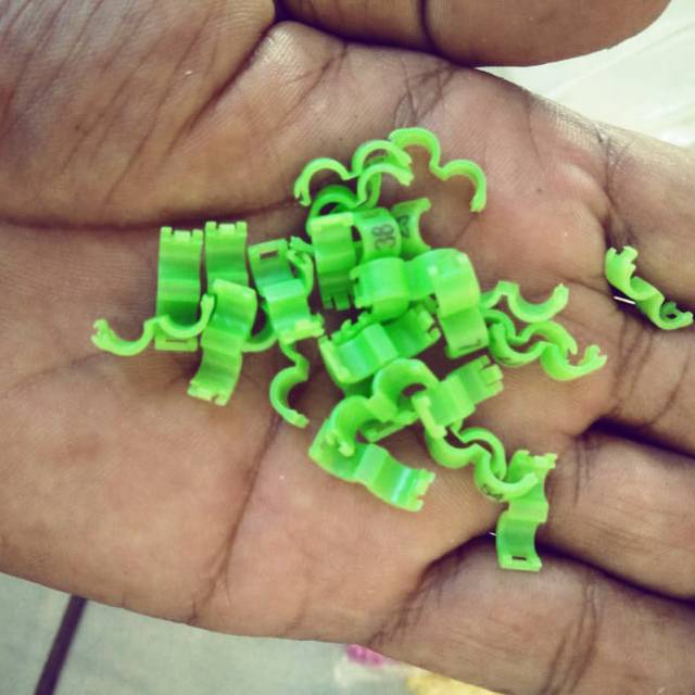 Ring clip/Ring burung dewasa  kenari,murai,lovebird,cucak hijau,perkutut,murai,pleci,sogon,konin