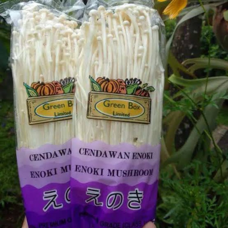 

JAMUR ENOKI 1 PACK