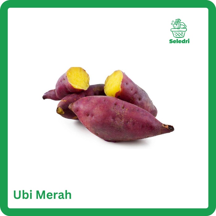 

ubi merah