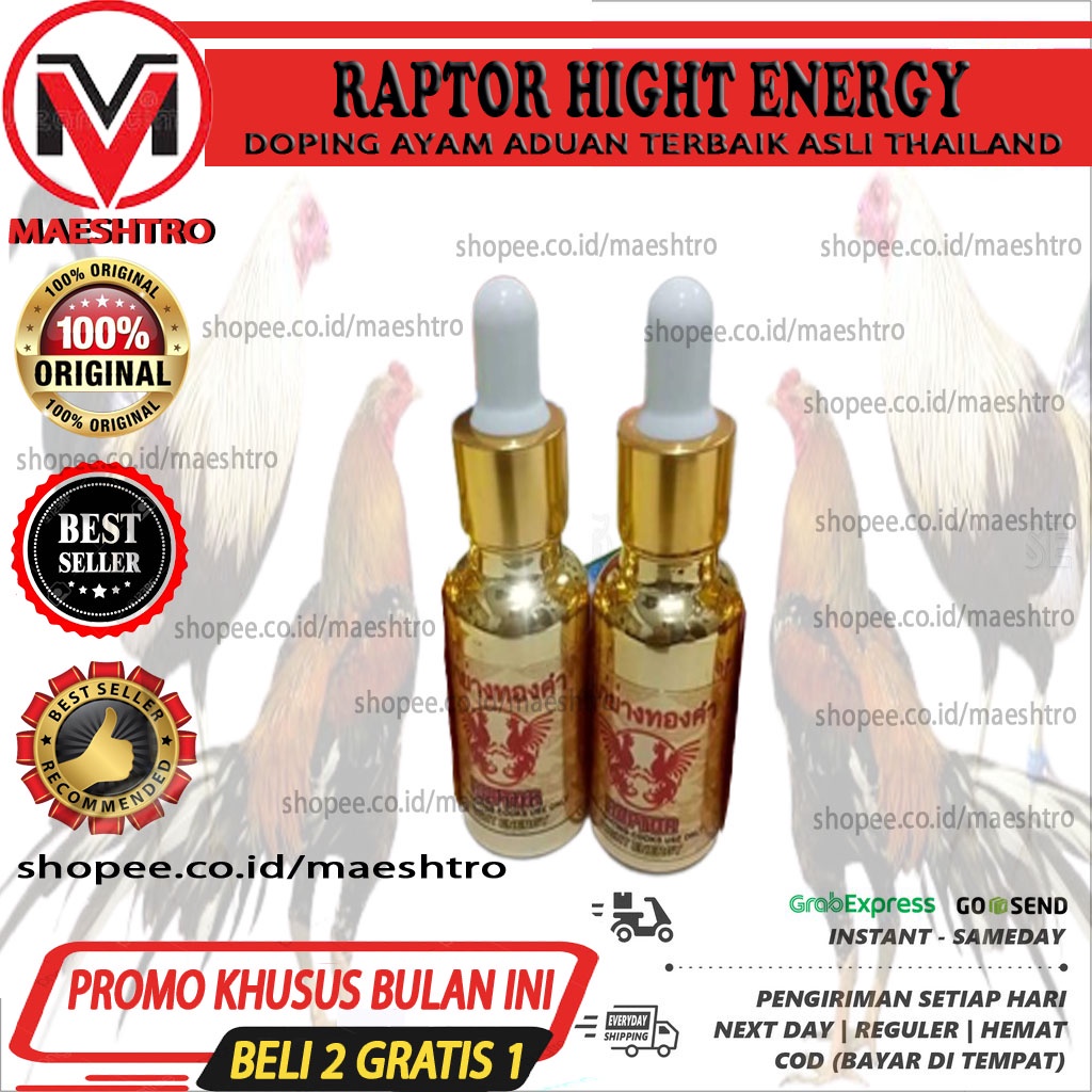 RAPTOR Doping Ayam Aduan Laga Terbaik Import Thailand Asli
