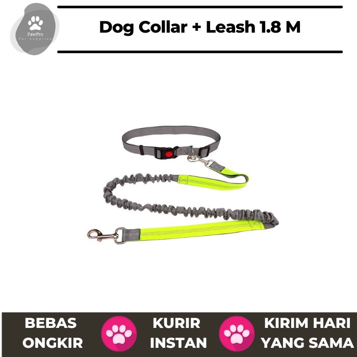 Tali dan Kalung Anjing | Dog Collar and Leash | Tali Anjing Polyester