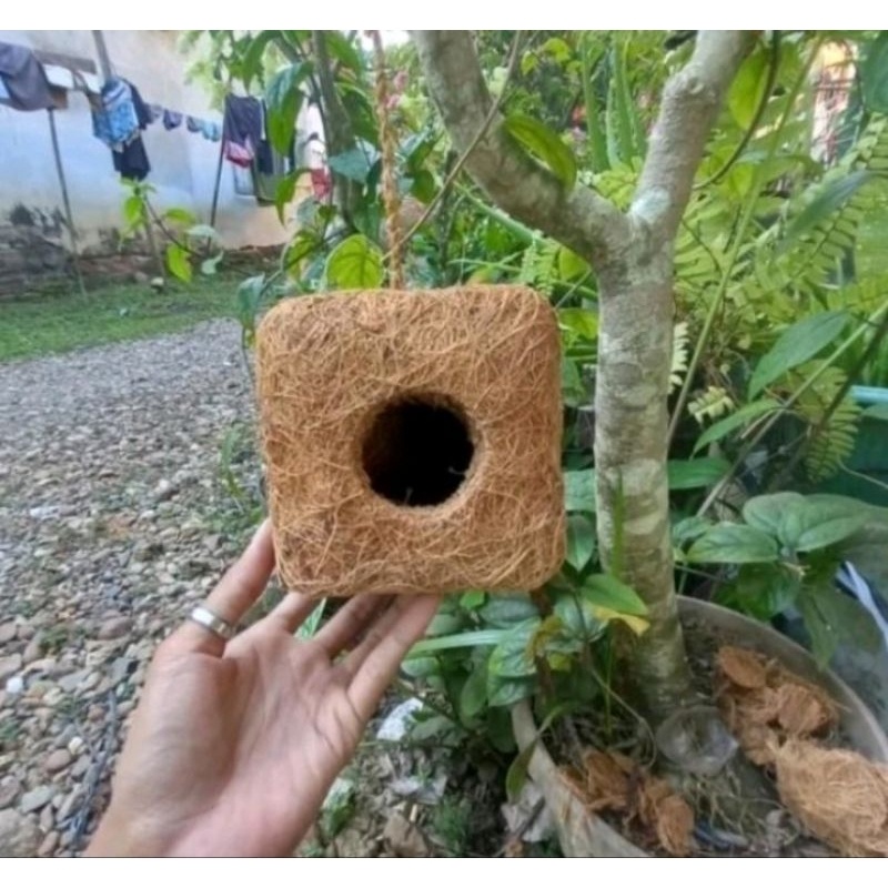 (SOUVENIR) Terbaru Sarang Burung Kotak Serabut Kelapa Sarang Lovebird