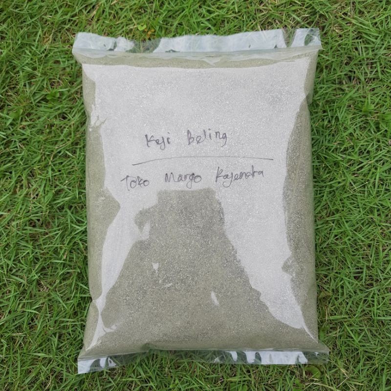 

Bubuk Serbuk Daun Keji Beling 500 Gram