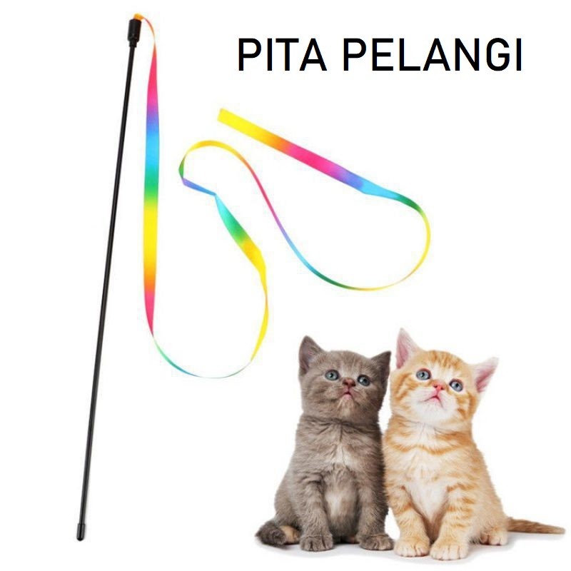 Mainan Kucing Tongkat Pita Pelangi Mainan Kejar Hewan Peliharaan Kucing Anjing Chaser Pet Toy
