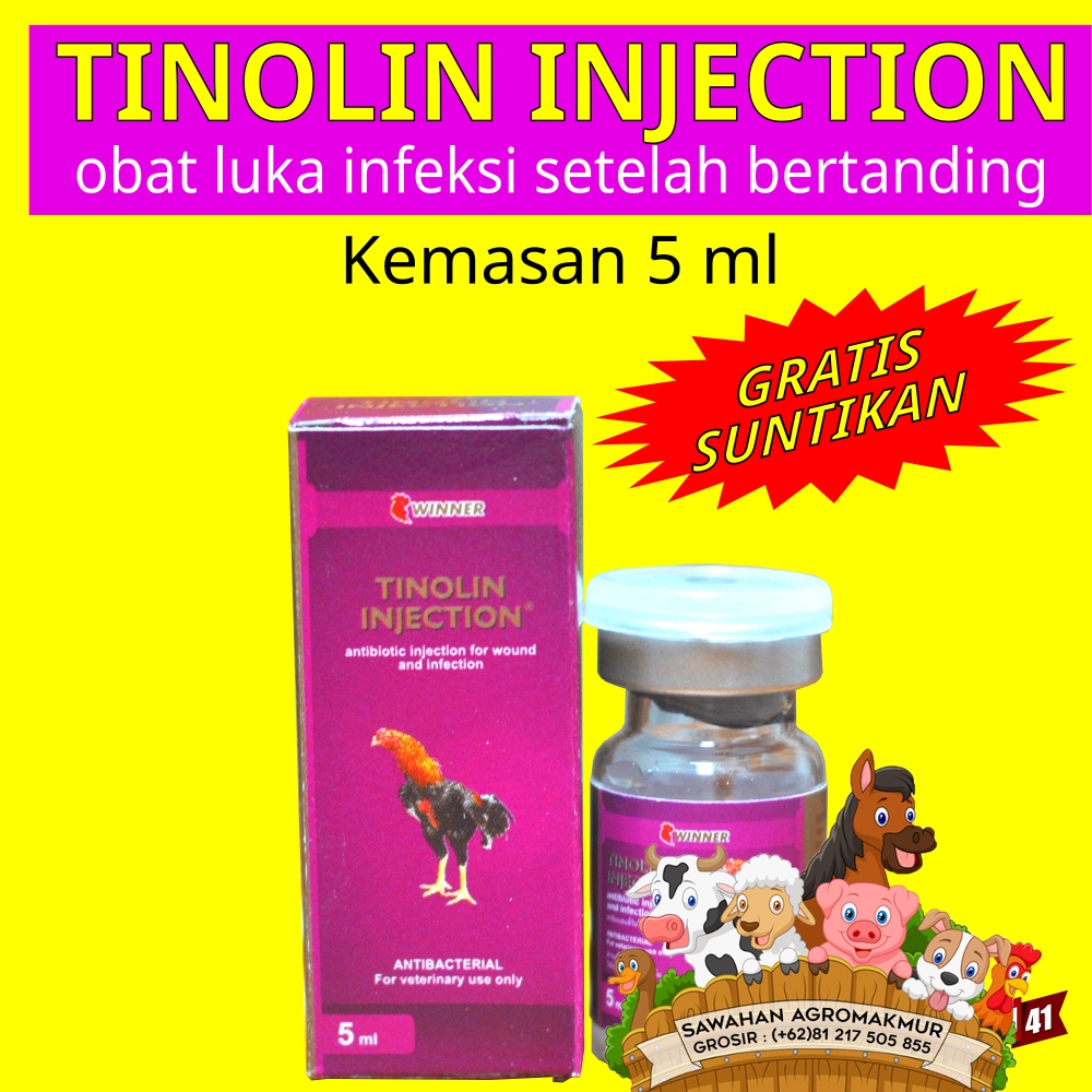 TINOLIN INJEKSI 5 ml Obat Luka ayam aduan bangkok Infeksi setelah Bertanding FREE SPUIT
