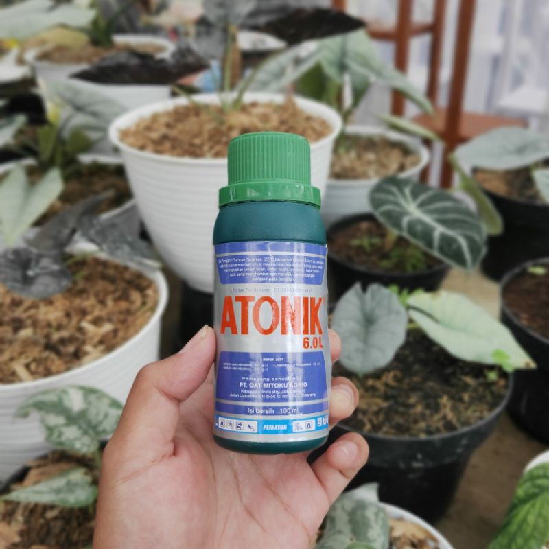 ZPT Antonik Penyubur Tanaman 100 ml