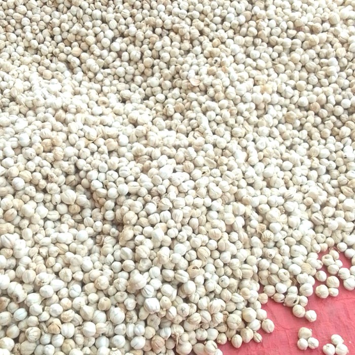 

Kapulaga Putih 1 kg/ Kapol Putih / White Cardamom