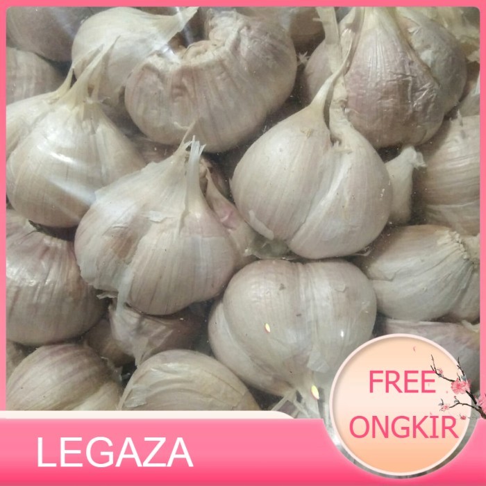 

bang putih kating - Legaza