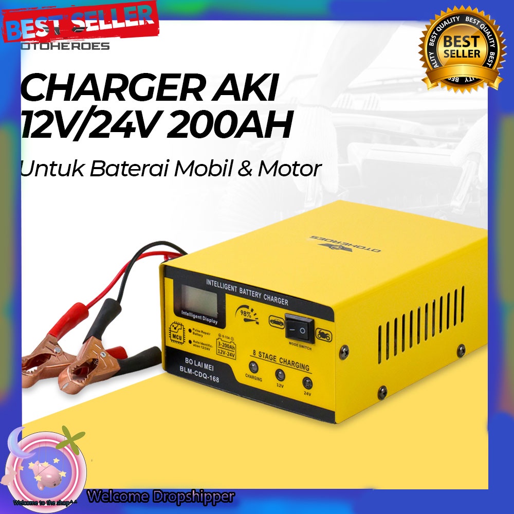 BO LAI MEI Charger Aki Mobil Motor 250W 12V/24V 200AH