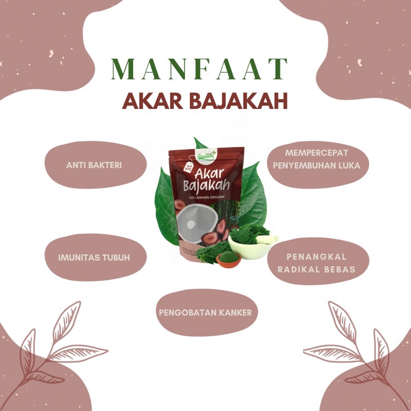 

COD Akar Bajakah | Teh Celup Akar Bajakah Murni Asslami | Pouch Mengurangi potensi Obesitas, Mencegah penyakit Diabetes, Mempercepat proses penyembuhan Luka, dll Herbal Alami