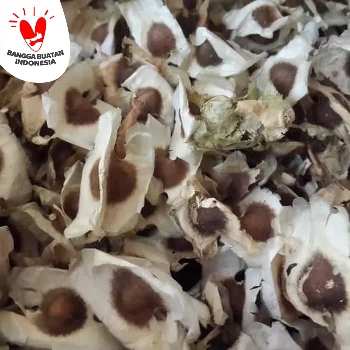 

Biji Kelor Sayap Kering 500gram Organik