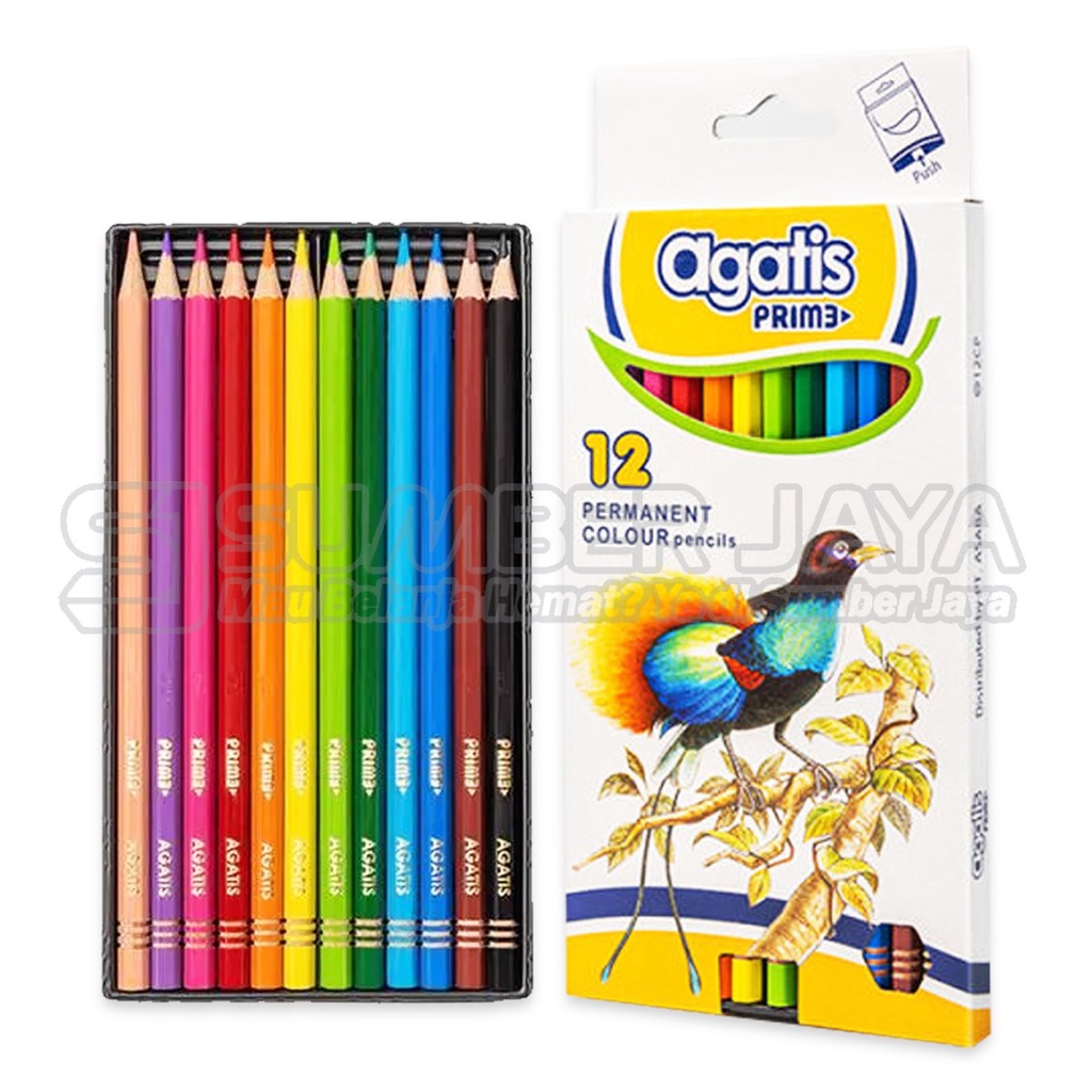 

Pensil Pencil Warna Agatis Prime C-12 Full Length Panjang 12 Warna