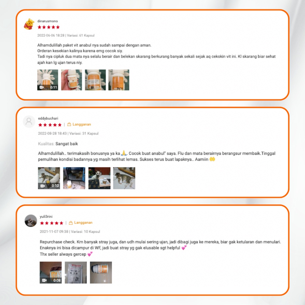 Sembuhkan Flu Mata Belekan Bersin bersin Herpes Klamidia Pilek Vitamin Kucing