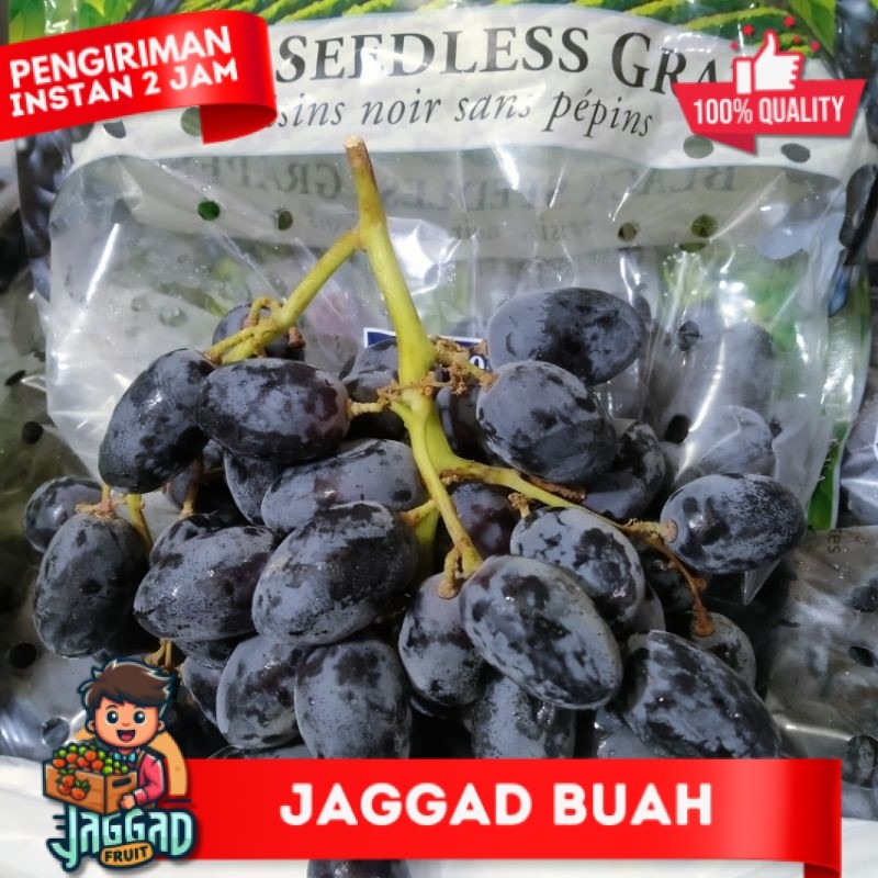 

ANGGUR BLACK AUNTUM SEALESS USA MANIS JAGGAD FRUIT