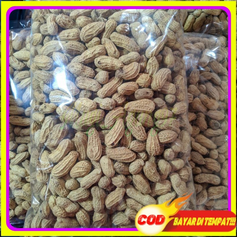

kacang kulit sangrai 1kg kacang kulit bakar