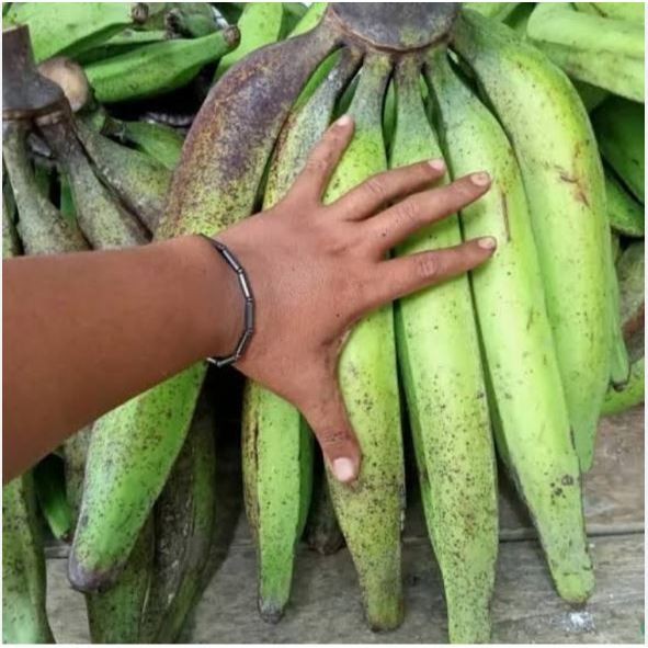 

buah pisang tanduk per 500grm