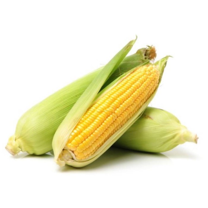 

Jagung