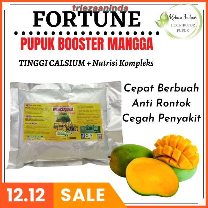 Pupuk Buah Mangga Organik Agar Cepat Berbuah, Pupuk Booster Mangga