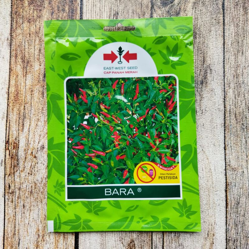 BENIH CABAI BARA 500 BUTIR ( kemasan pabrik utuh )