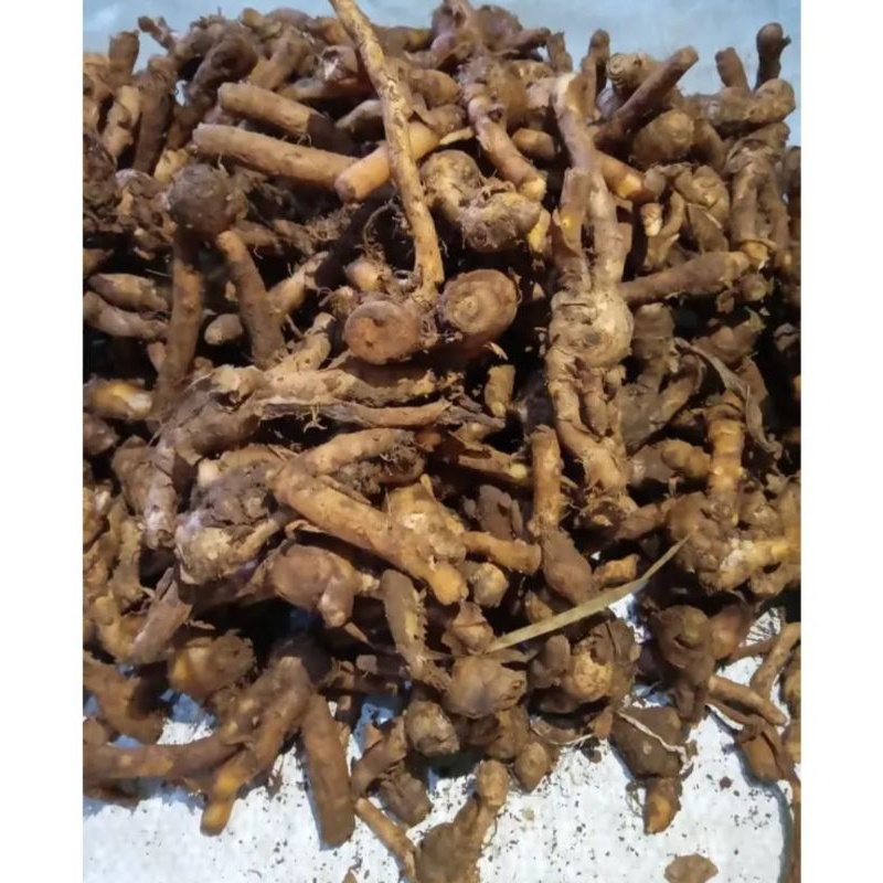

KUNCI 1KG/ TEMU KUNCI /REMPAH/BUMBU DAPUR