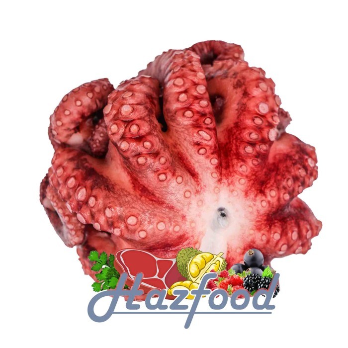 

Gurita Utuh Frozen | Octopus Whole