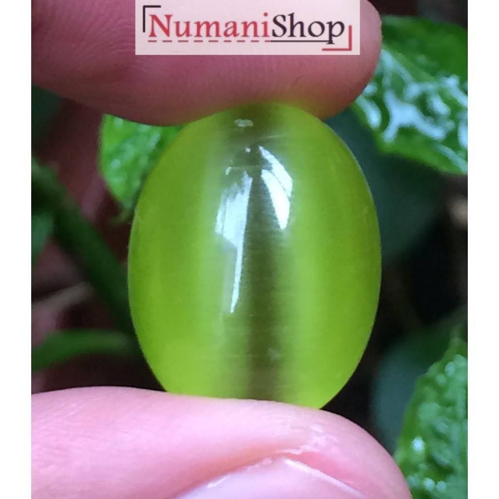 Batu Akik Cat Eye Hijau Belimbing HQ