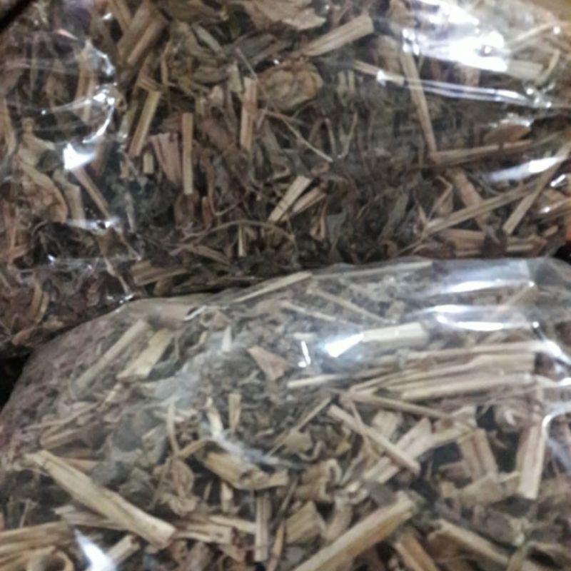 

New Promo Ciplukan/Daun Cecendet/Daun Kering Rempah Tradisional 100 gram COD