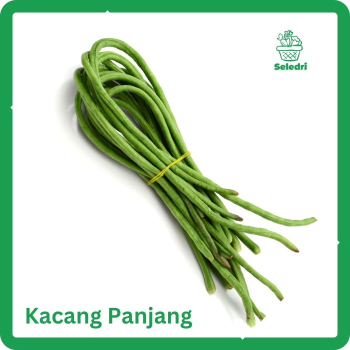 

Kacang Panjang segar Sayur Bogor 250 500 1kg