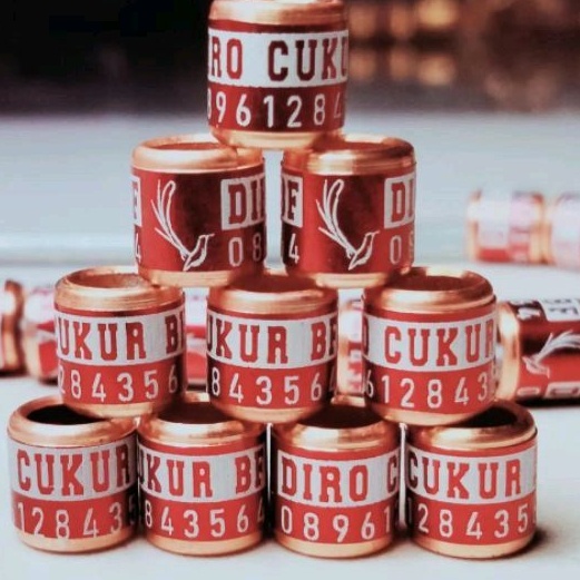 RING BURUNG MURAI BISA CETAK NAMA