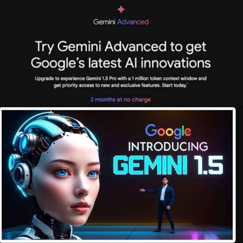 GOOGLE GEMINI ADVANCE | PRIVATE | 2 BULAN )