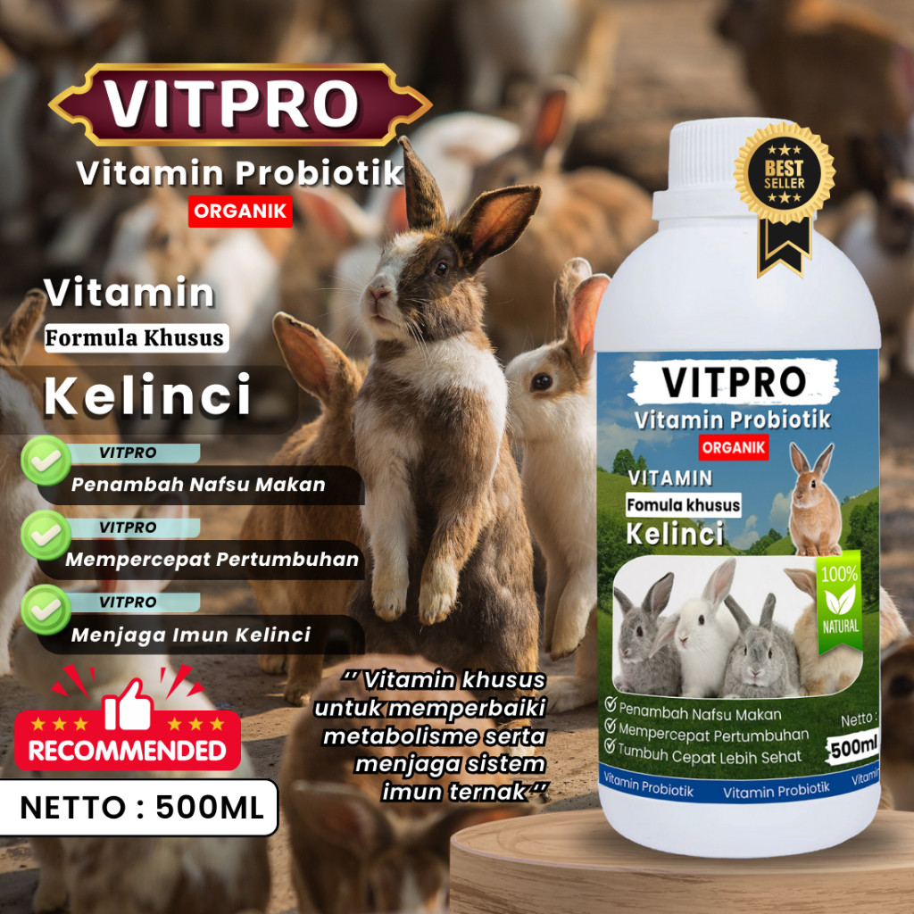 COD VITPRO Vitamin Probiotik Vitamin Suplemen Kelinci Hias Anggora Fuzzy Lop Holland Netherland Dwar