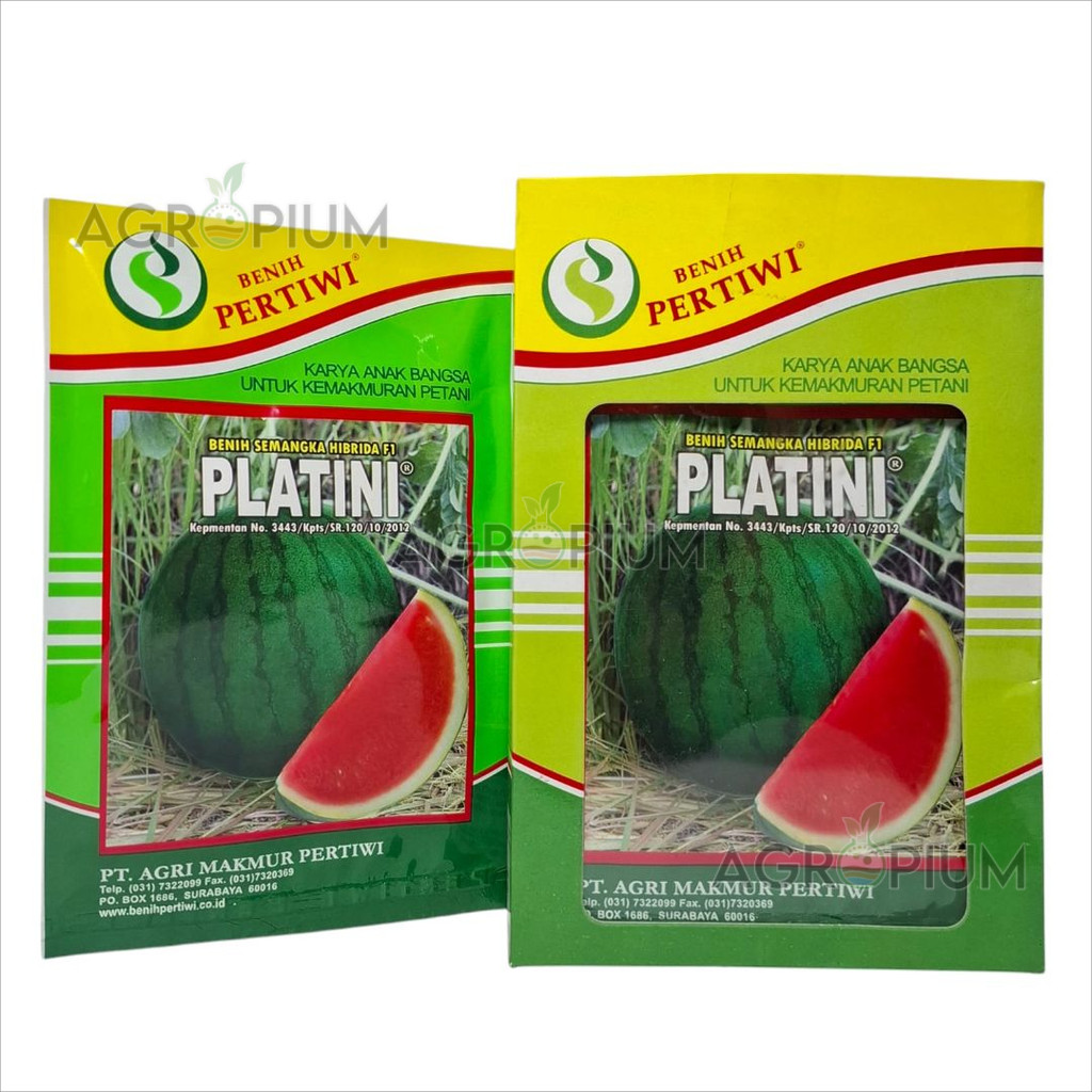 Benih Semangka Hibrida Non Biji Platini F1 Isi 20 Gram Cap Benih Pertiwi