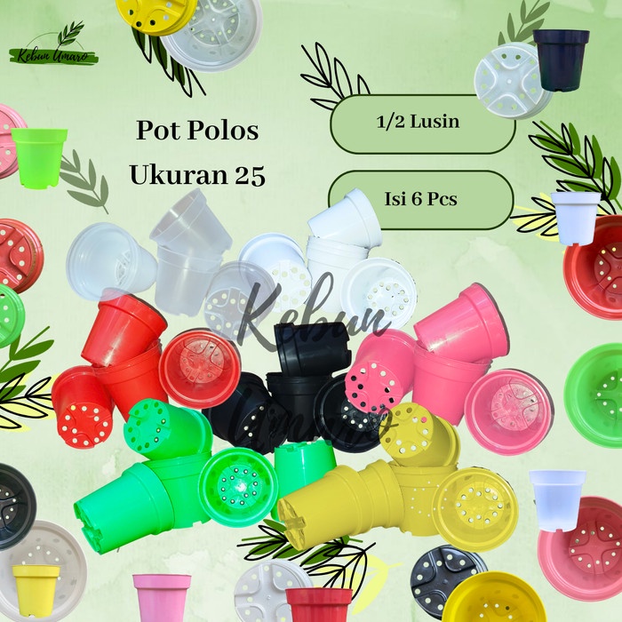 GROSIR 1/2 Lusin Pot Polos Ukuran 25 / Pot Tinggi / Pot Srondol / Pot Tanaman / Pot Bunga / Pot Plas