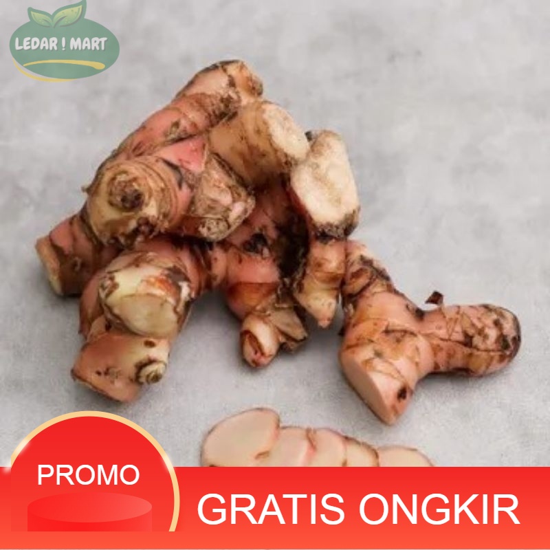 

Lengkuas Merah organik / Lengkuas Laos