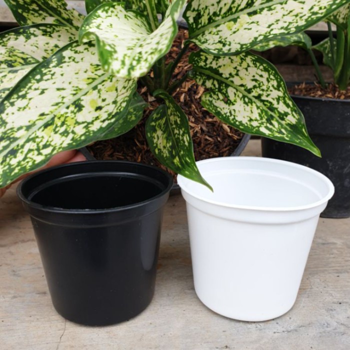 Pot bunga pelastik NKT POLOS kecil 8 cm Pot Basic Mini Pot Kaktus Pot bagus cantik murah