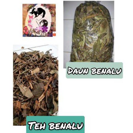 

reerengswetmall 500gr Teh benalu kering / daun benalu kering paling laris segera di order keburu kehabisan