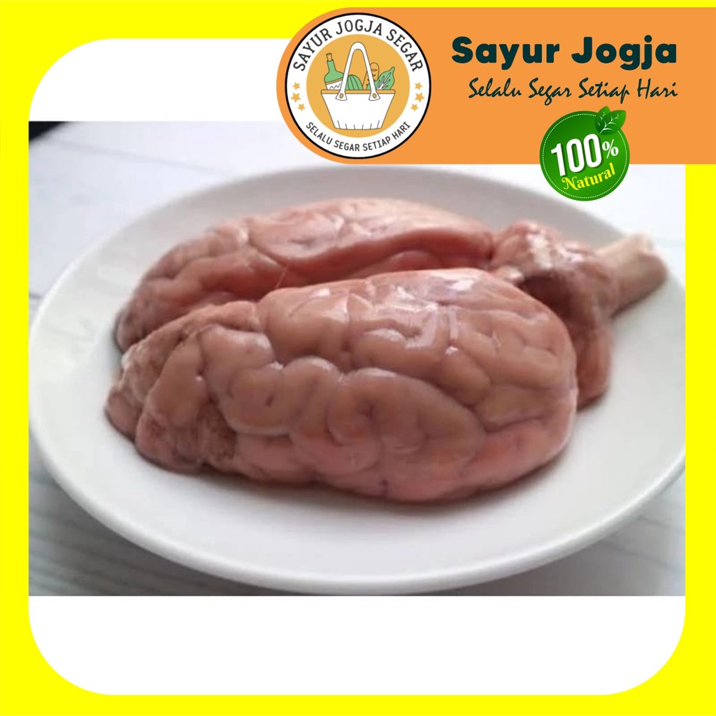 

OTAK SAPI SEGAR UTUH (per pcs) - Sayur Jogja