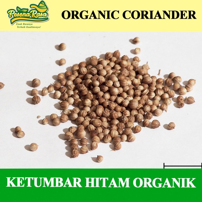 

Ketumbar Hitam 250 gr /Organic Coriander Premium / Ketumbar Asli Wangi