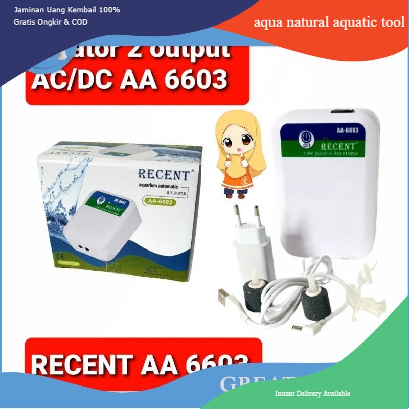 aerator AC DC 2 output recent AA 6603 pompa udara AC DC
