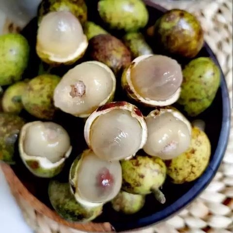 

Buah Segar Matoa 500gram Fruit Dari Rambutan Kelengkeng Durian Orang Timur