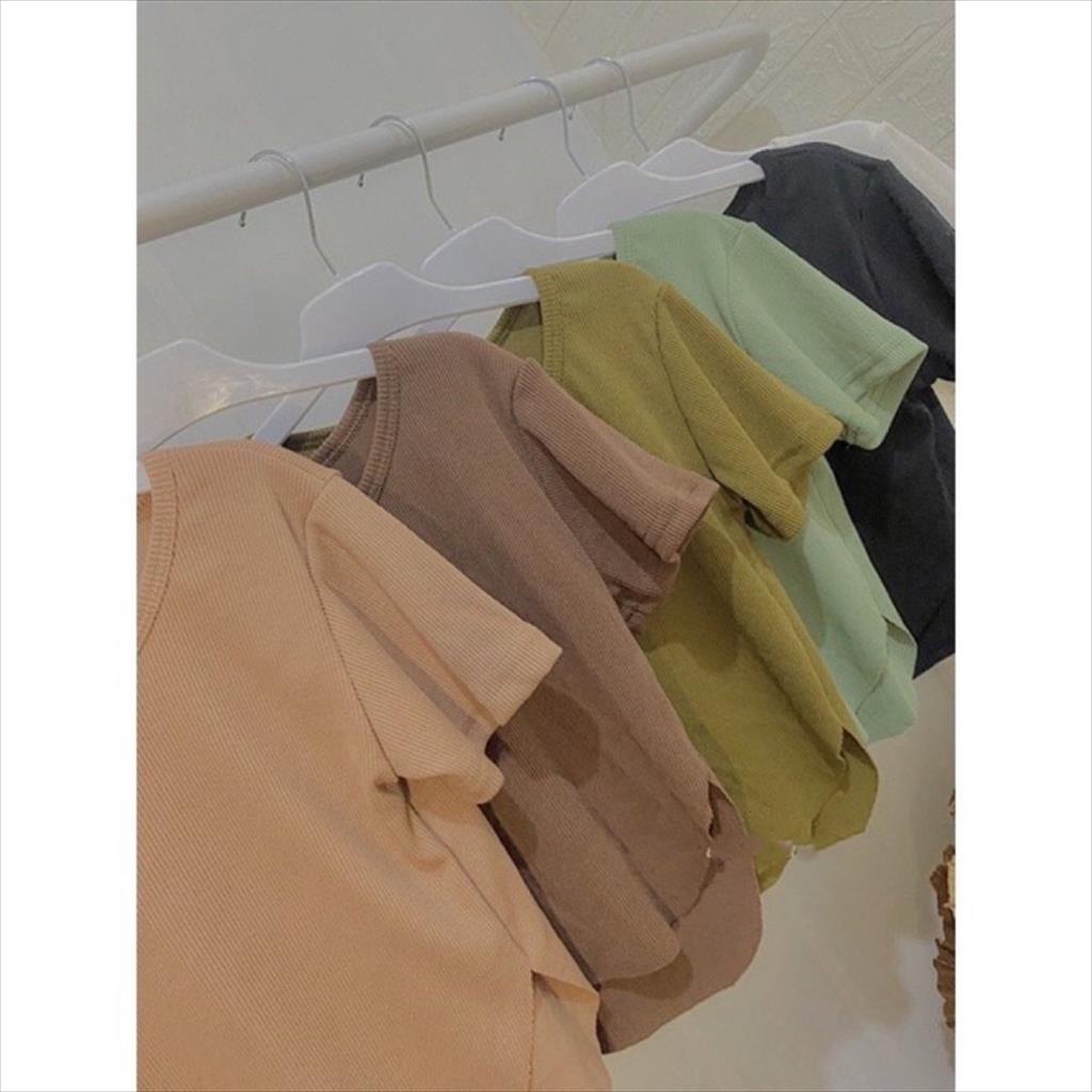 WMP - Ery Crop Top RIB  / CROPTOP ERY CROP TOP RIB BAJU ATASAN KAOS KOREA PAKAIAN WANITA