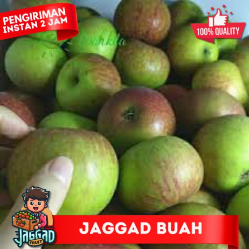 

Apel Malang Super Malang size 8 sd 9 buah dalam satu kg JAGGAD FRUIT