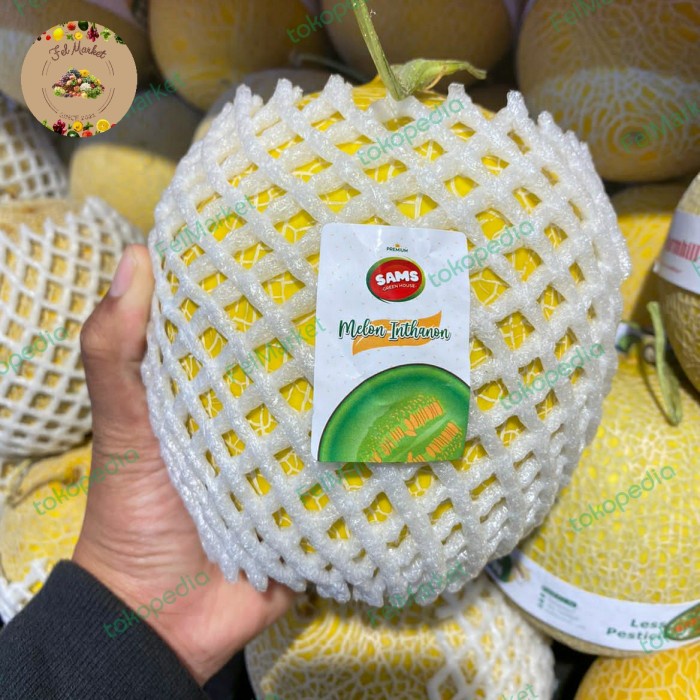 

Melon Inthanon Sweet Premium | Buah Melon Inthanon | Pcs