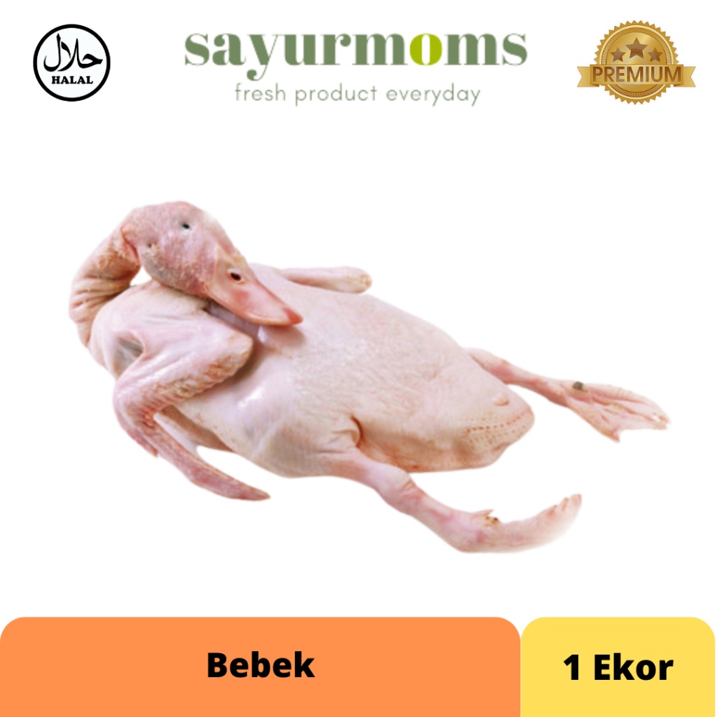 

Bebek 1,25kg/ekor